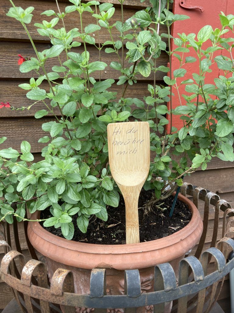 Die Naturidylle bietet was für alle Sinne.