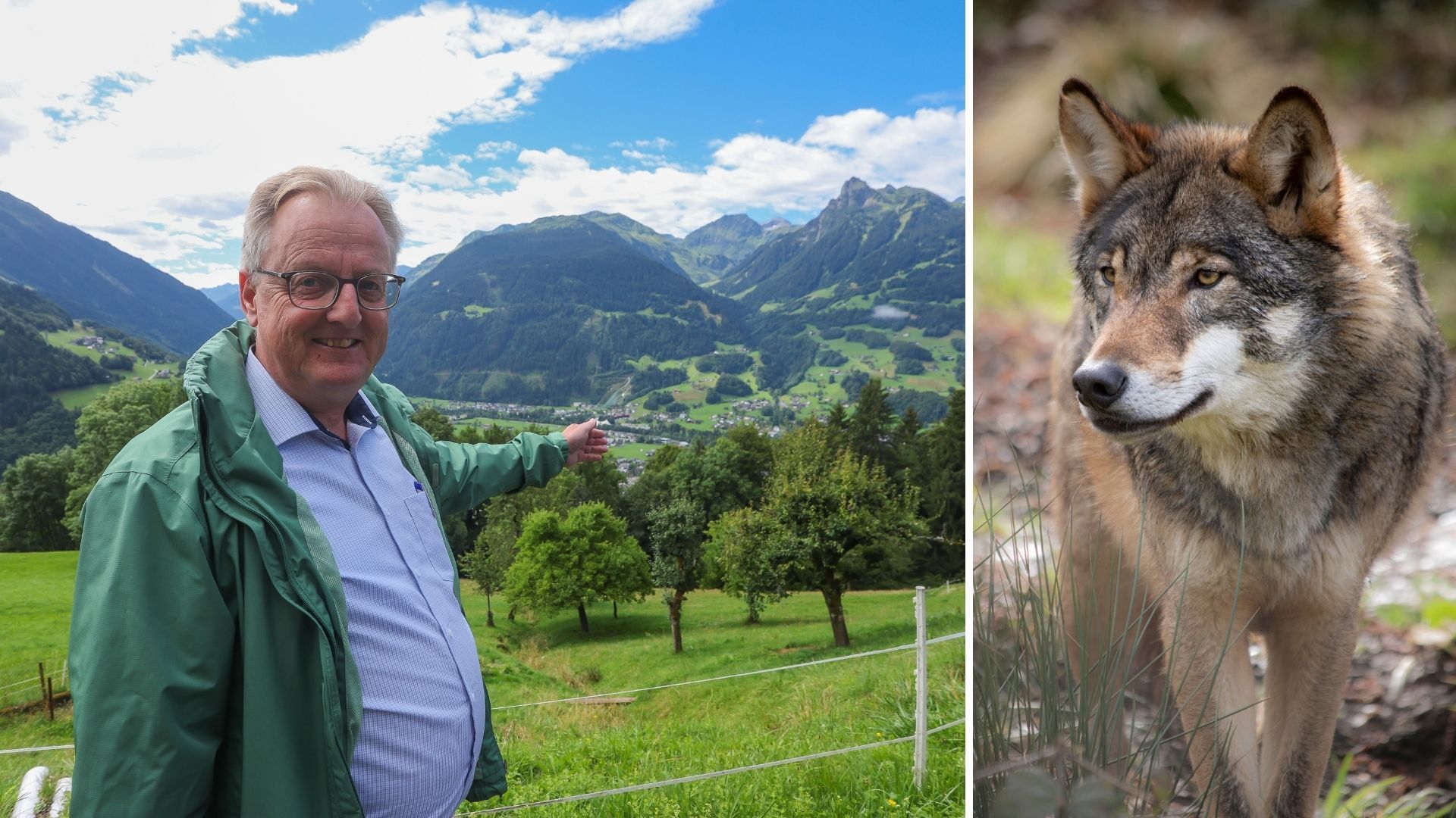 Warum der Wolf ganz Bartholomäberg in Atem hält