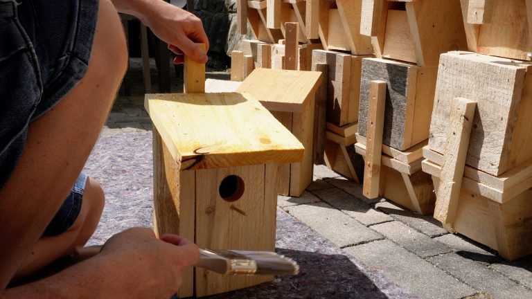 Das Projekt stärkt das Bewusstsein für die Bedeutung eines intakten Ökosystems.