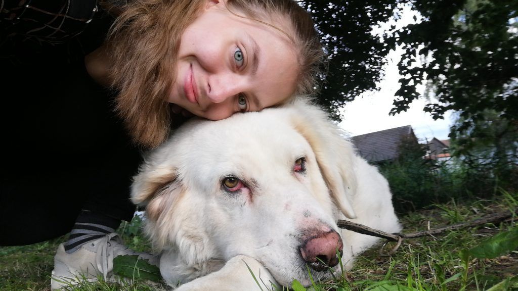 Wenn Tiere sprechen könnten