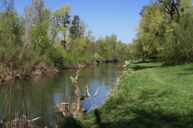 Kurze Stichwege bieten die Möglichkeit, näher an den Fluss zu kommen. 