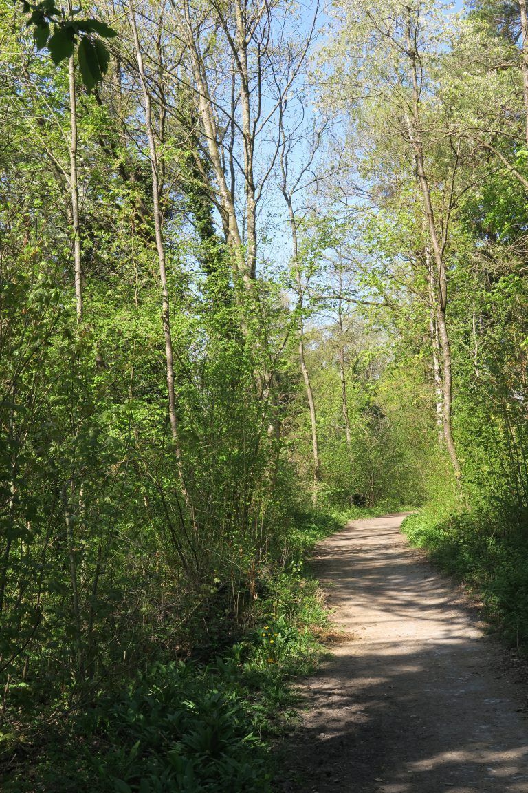 Der Weg lädt zum gemütlichen Spaziergang ein.
