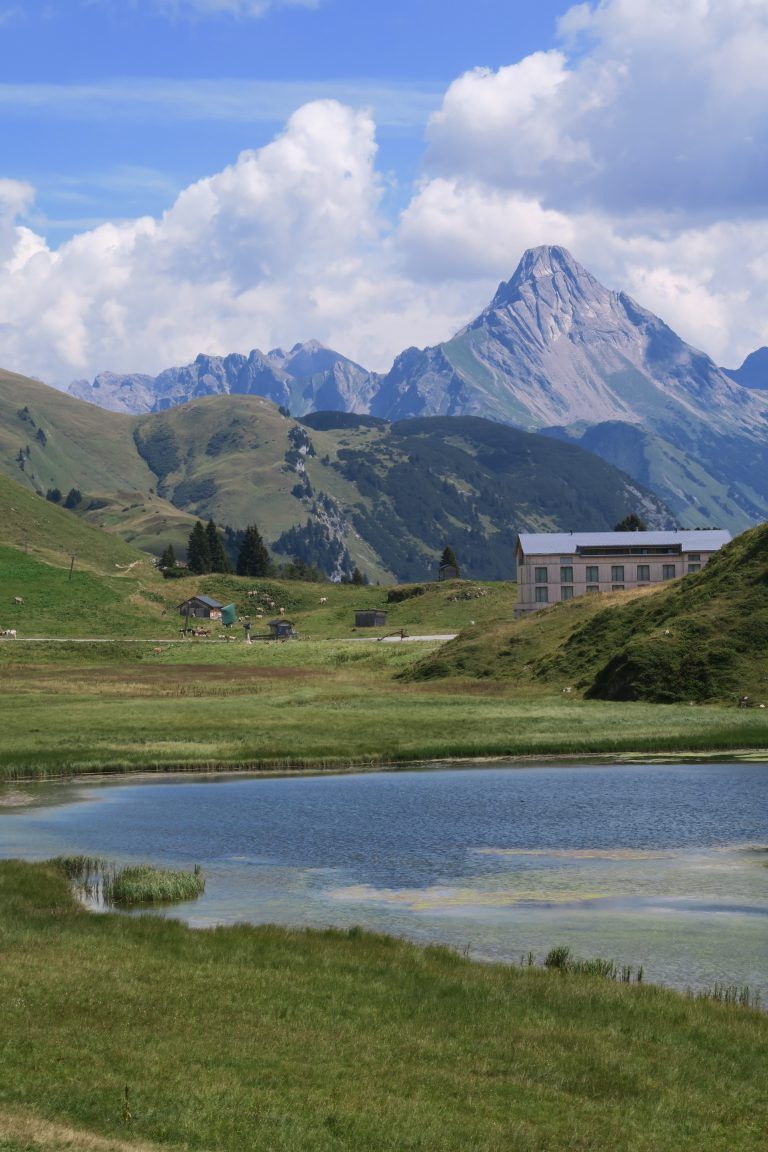 Die feuchte Landschaft steht im Gegensatz zu den Kalkfelsen der umliegenden Berge.