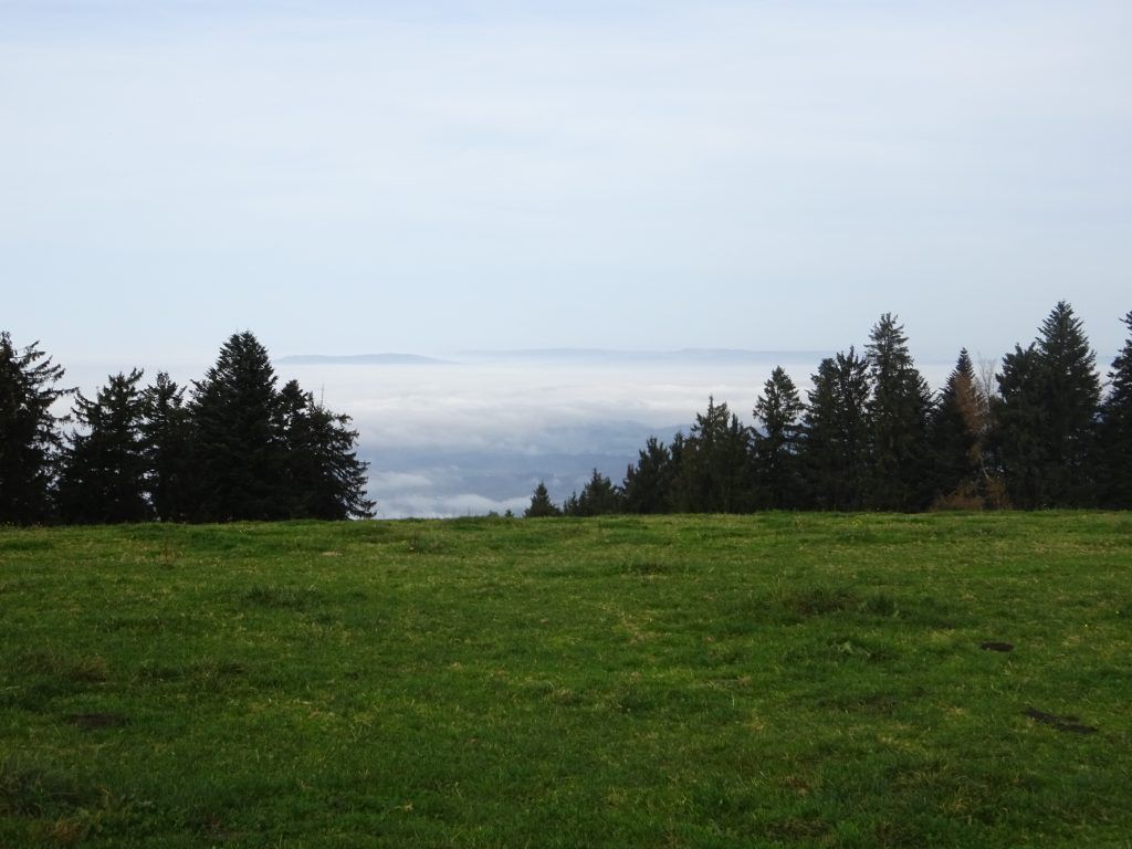 Wenn im Tal der Nebel liegt