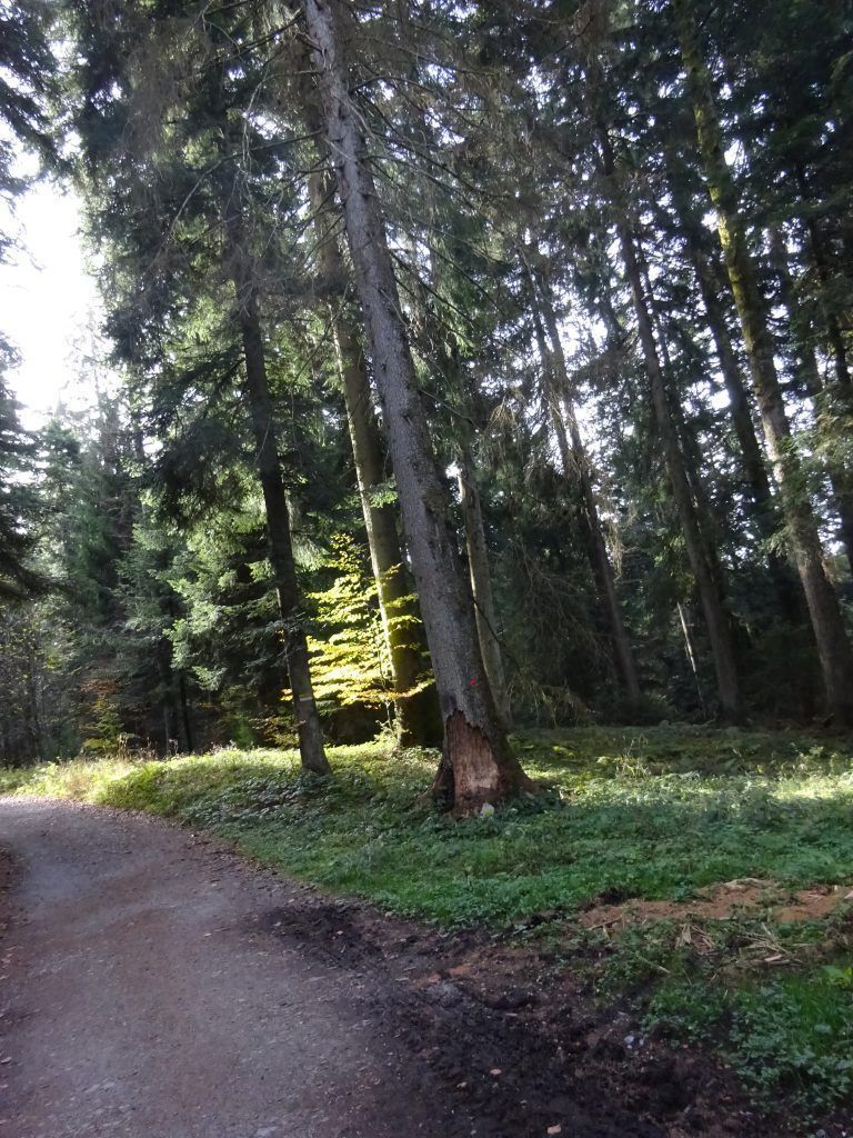 Wenn im Tal der Nebel liegt
