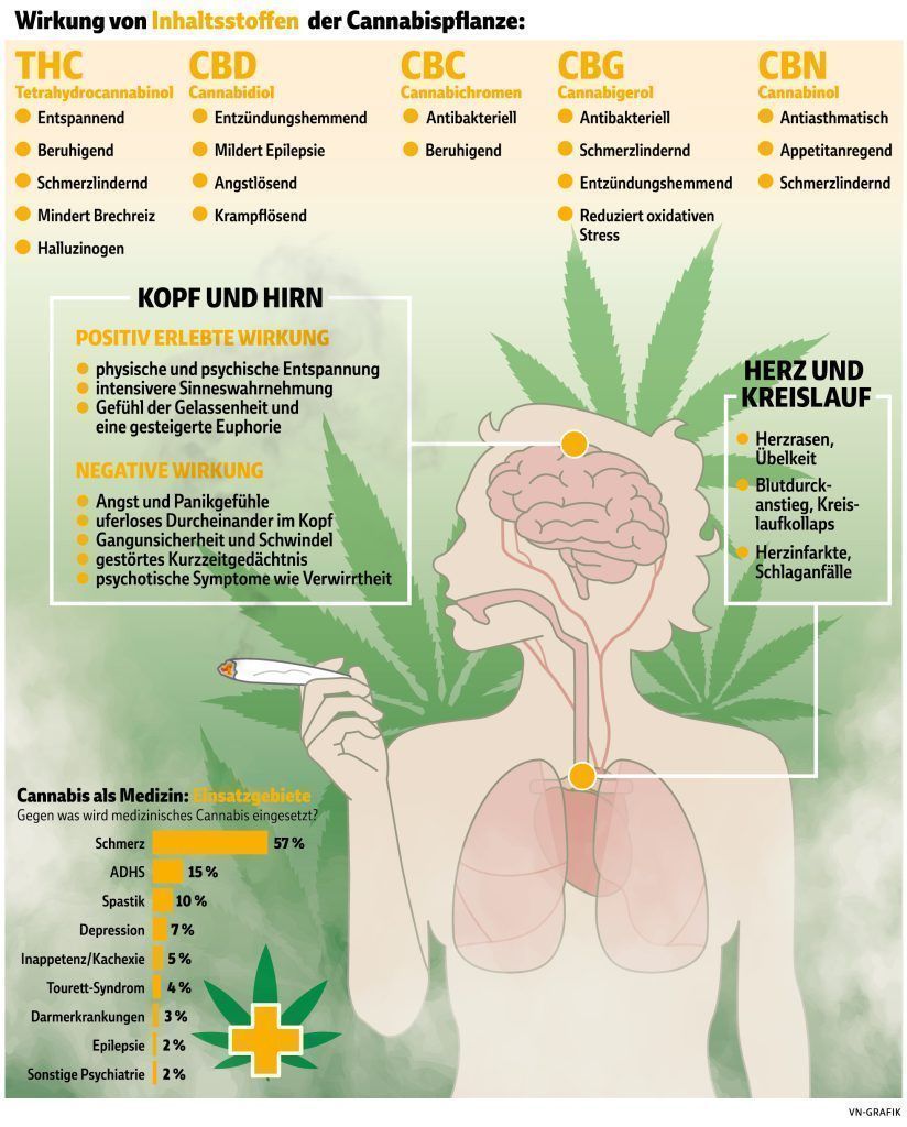 Cannabis: Wie sich das Land auf die deutschen Pläne vorbereitet