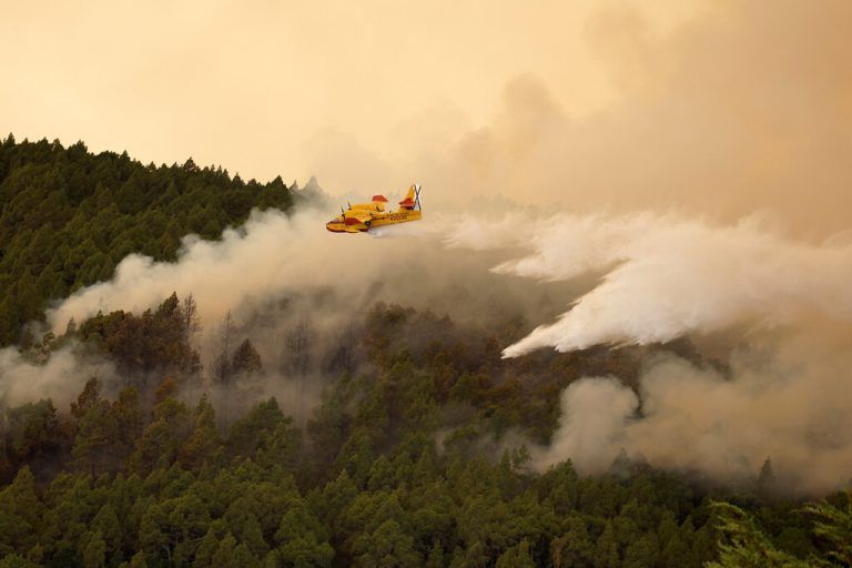 Auch Löschflugzeuge sind im Einsatz gegen die Flammen. RTS