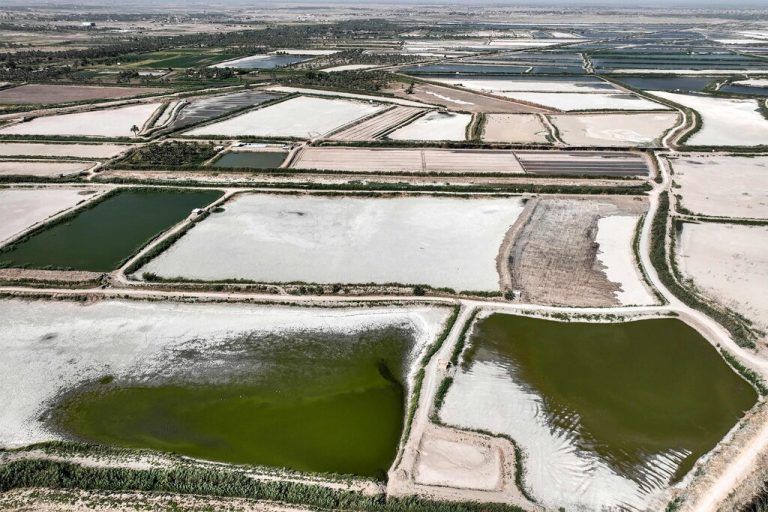 Aufgrund der zusammengebrochenen Wasserversorgung im Irak liegen diese ausgetrockneten Fischfarmen südlich von Bagdad brach. AFP
