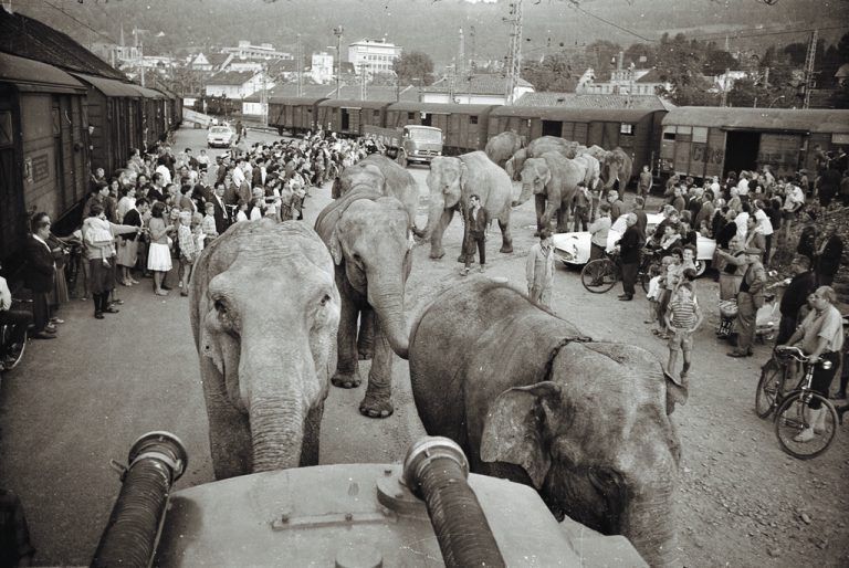 Bregenz, Zirkus Krone, 1964