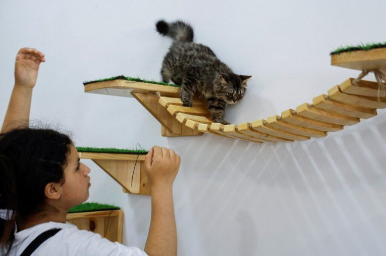 Im gerade eröffneten Meow Katzencafé in Gaza-Stadt spielt ein Mädchen mit einem der Vierbeiner. Reuters