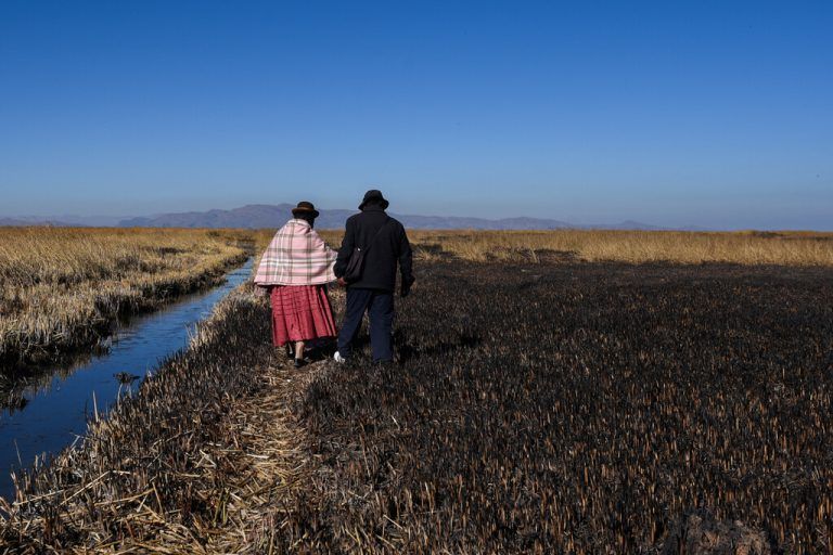 Isabel Apaza und Gabriel Flores laufen in der Dürrezeit in Huarina, Bolivien, auf verbranntem Schilf am Ufer des Titicacasees. Reuters