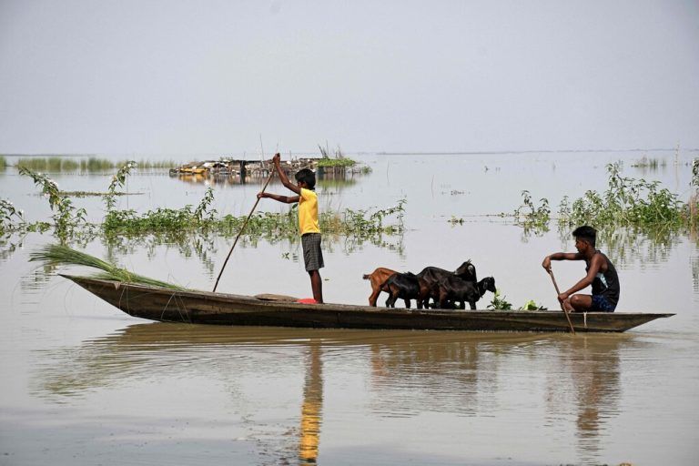 Jungen befördern Ziegen auf einem Boot in einem von Überschwemmungen betroffenen Dorf im indischen Bundesstaat Assam. AFP
