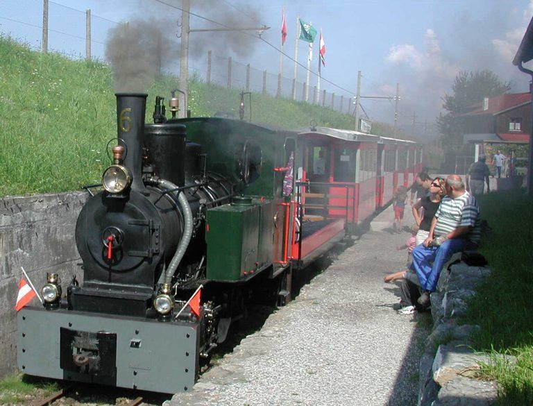 Mit der historischen Dampflokomotive geht es am Rhein entlang zum Rhy-Schopf. Rhein-Schauen