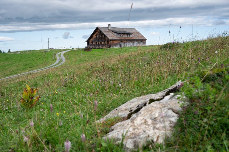 Die Alphütte liegt auf 1368 Metern und ist ein beliebtes Ziel von Radfahrern und Wanderern. <span class="copyright">VN/Serra (alle)</span>