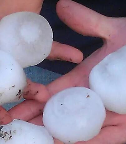 Hagelunwetter in Bayern tötete Rehe, Störche und Katzen