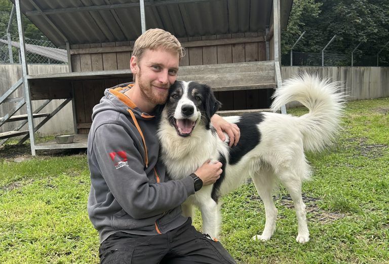 Tierpfleger Julian kümmert sich um Willi, bis er neue Besitzer gefunden hat. <span class="copyright">TSH </span>