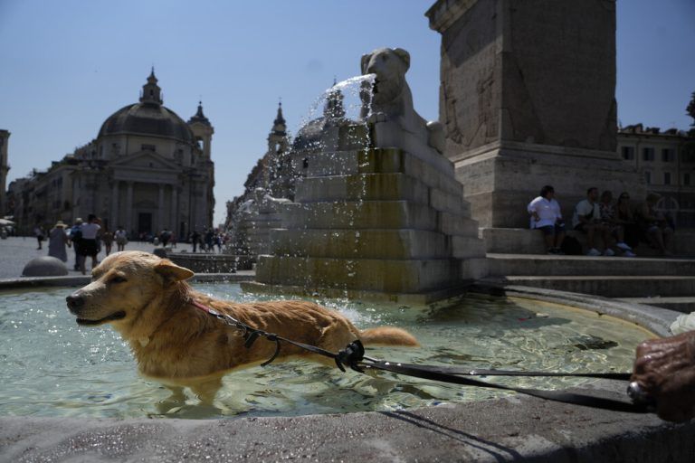 Um der Hitze zu entgehen, badet dieser Hund in einem Brunnen in der italienischen Hauptstadt Rom. AP