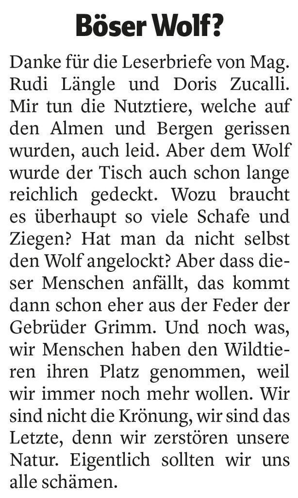 Der böse Wolf?!