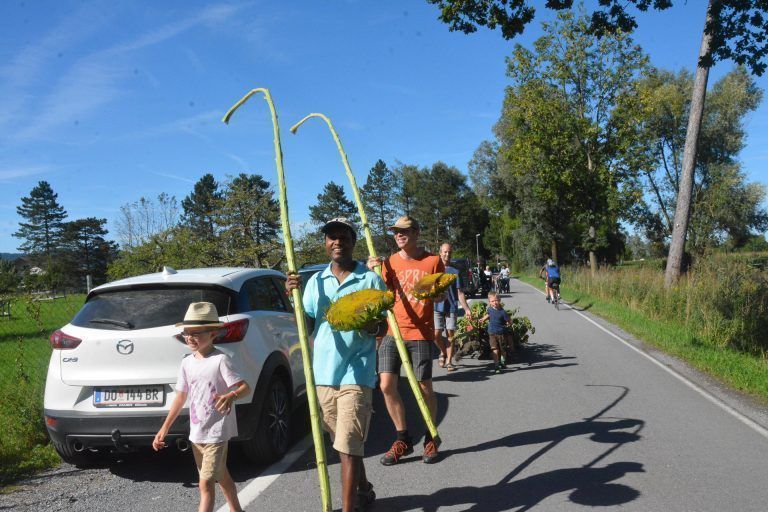 Die Blumen werden zum Festplatz gebracht.