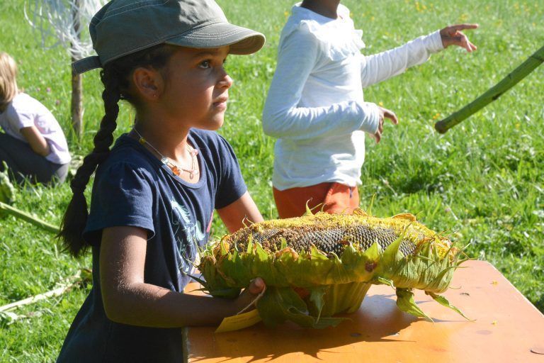 Hannah Tesfay-Hämmerle wollte den Umfang des Blütenkopfes abmessen lassen.