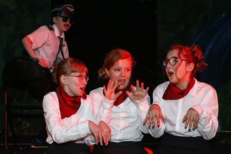 Theatergruppe Mäder – für Groß und Klein kommt der Spaß nie zu kurz. THEATERGRUPPE
