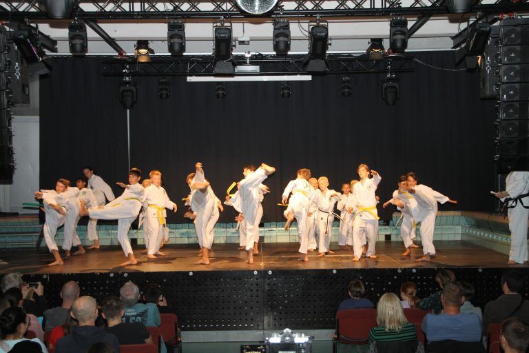 Von klein auf bot die Gala des ZEN Taekwon-Do-Center Feldkirch große Kampfkunst. <span class="copyright">VN-HE (12)</span>