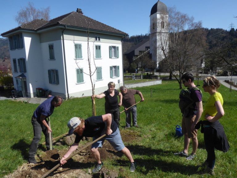 Der Obst- und Gartenbauverein Göfis ist seit hundert Jahren auf vielfältige Weise engagiert. OGV Göfis