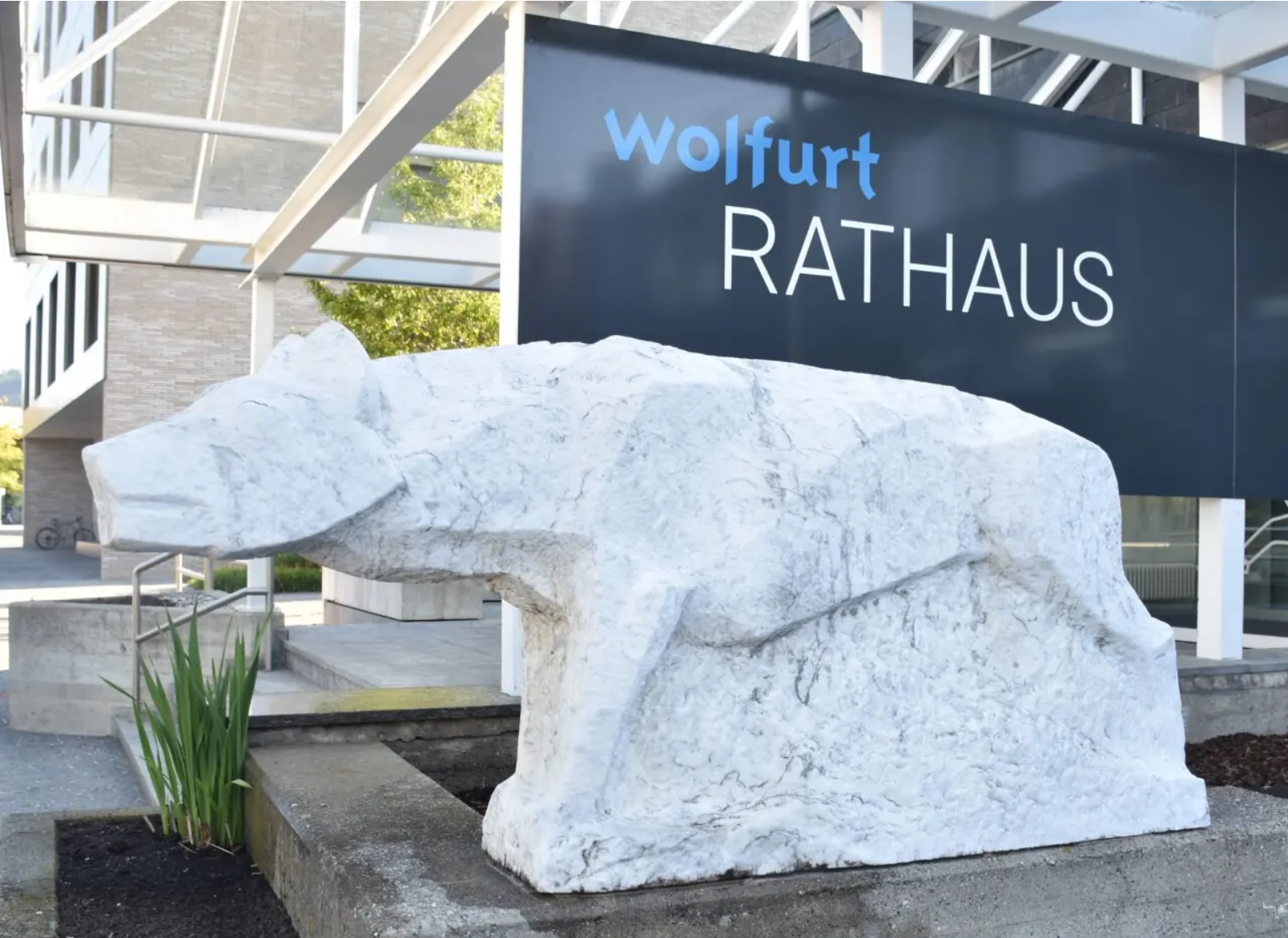 Wolf vor dem Rathaus Wolfurt