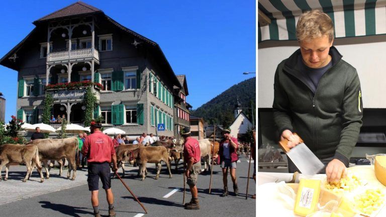 Seit August beansprucht das Alpvieh die Bregenzerwaldstraße. Früher zogen die Tiere traditionell um den Heiligkreuztag heim, doch nun verteilt der Bregenzerwald den Heimzug über Wochen. <span class="copyright">STP/7</span>