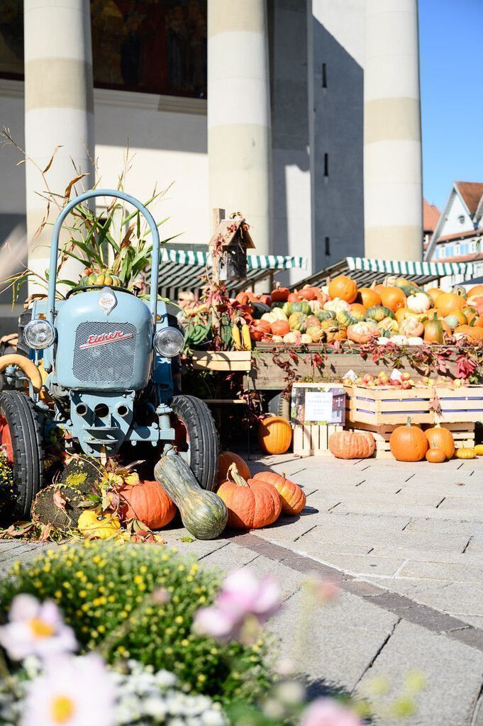 Herbstliches Flair am Dornbirner Marktplatz