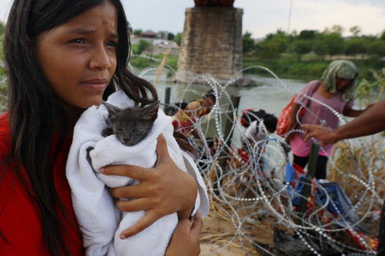 Eine Migrantin aus Venezuela, die in den US-Staat Texas gelangen will, hält eine Katze namens „Grey“, die sie unterwegs aufgenommen hat. Reuters