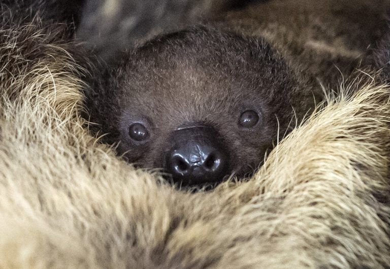 An Mama gekuschelt