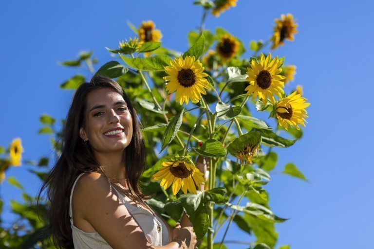 Blühende Spätsommer-Schönheit
