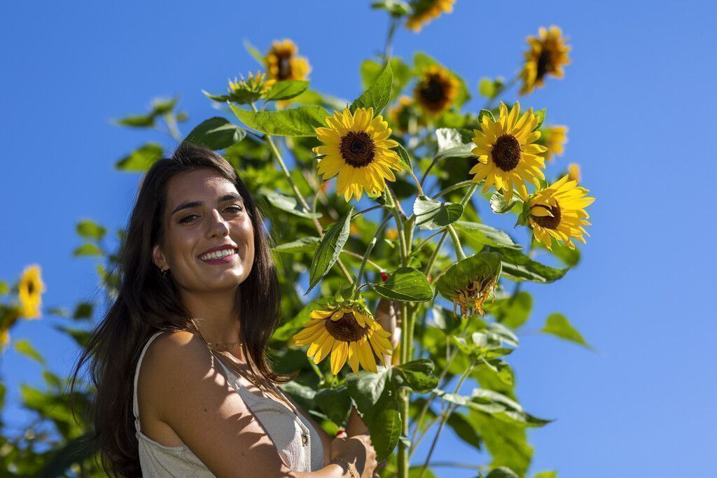 Blühende Spätsommer-Schönheit