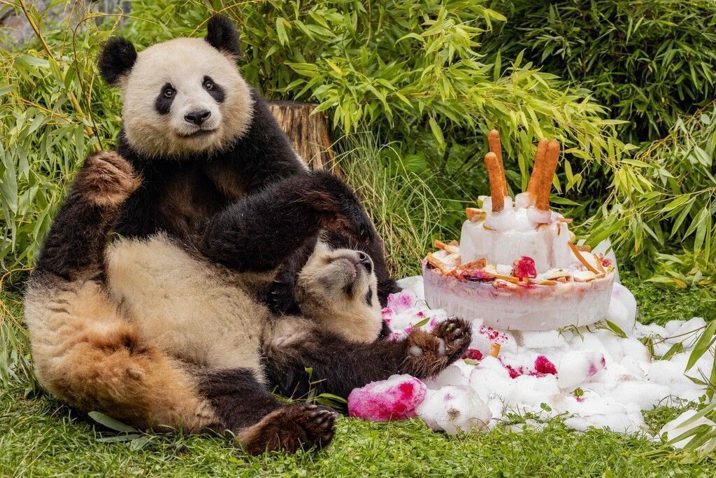 Happy ­Birthday