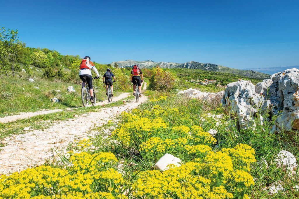 Aktivurlaub in Istrien