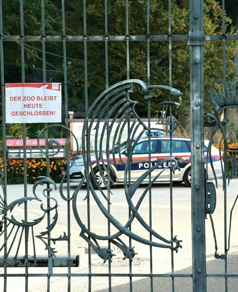 Nashorn-Attacke im Zoo Salzburg. Pflegerin stirbt. »D10