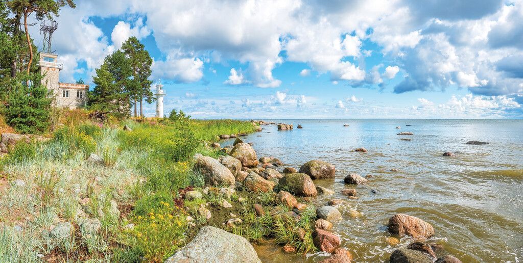 Wildes Estland