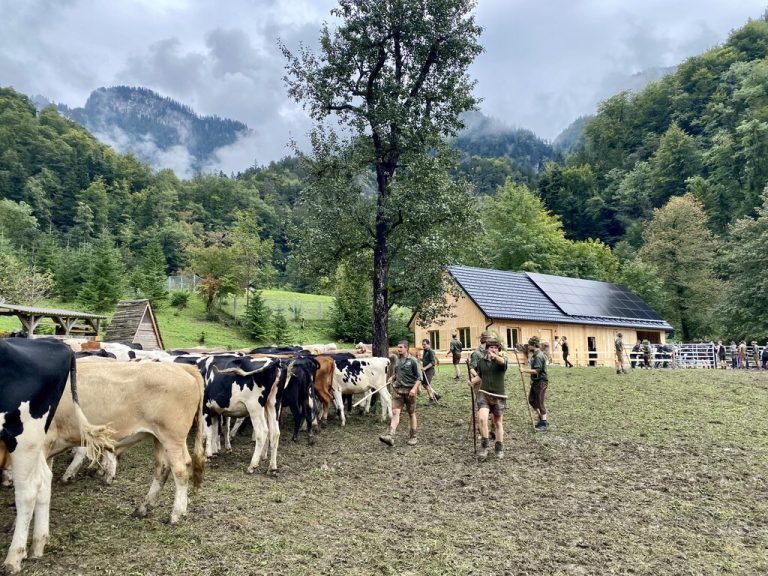 Alpfest in Hohenems