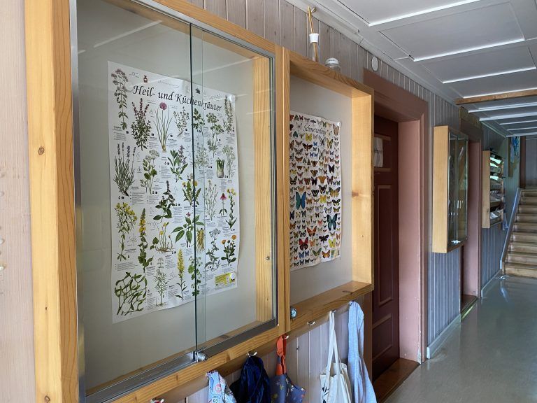 Der jetzige Eingangsbereich wird komplett umgestaltet.