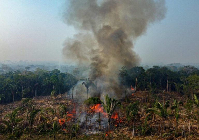 In Manaquiri im brasilianischen Bundesstaat Amazonas steigt Rauch von illegalen Bränden auf, die von Bauern verursacht wurden. AFP