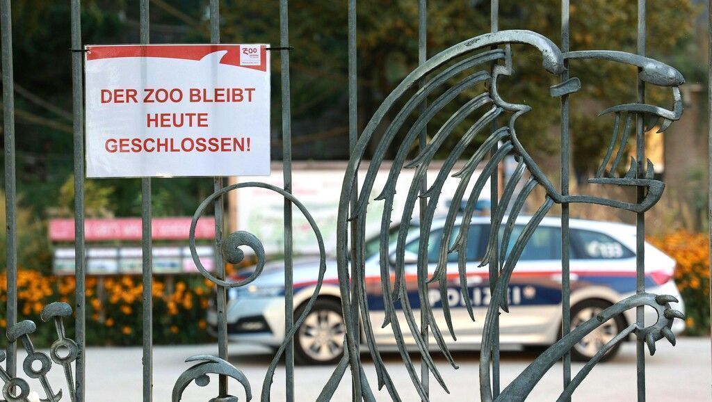 Nashorn tötet Pflegerin