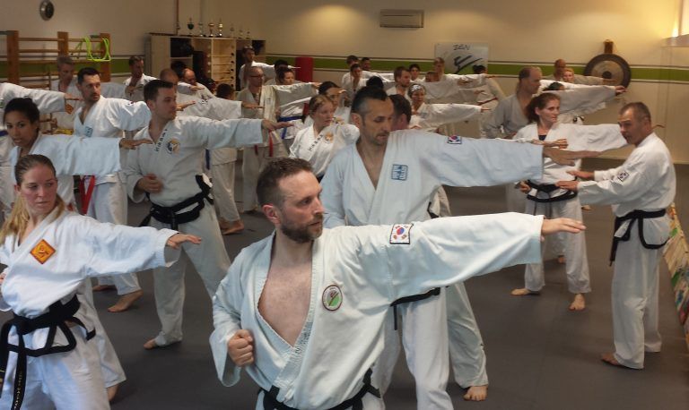 Zen Taekwon-Do Center Feldkirch veranstaltet Benefizgala mit spektakulärem Programm.