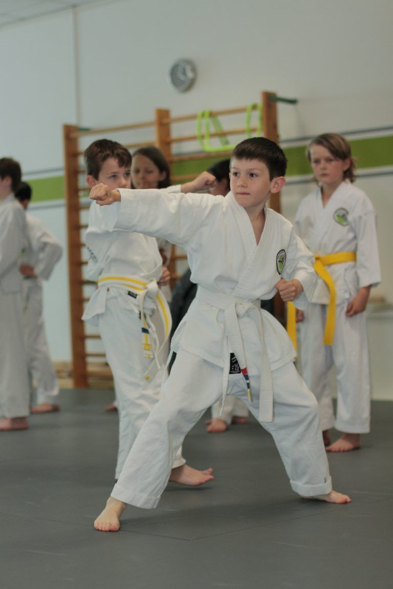 Von Klein auf wirdseit 11 Jahren die Kunst des traditionellen Taekwon-Do trainiert.