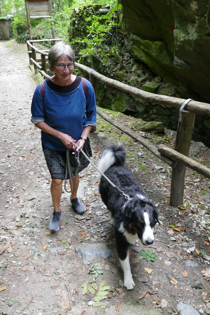 Sabine Wöllgens genießt mit Hund Amigo die Spaziergänge in der Natur.Wöllgens