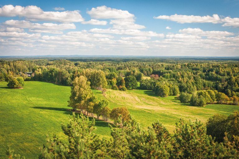 Sanfte Hügel und klare Seen: Der Karula-Nationalpark ist Estlands idyllisches Naturparadies. Shutterstock