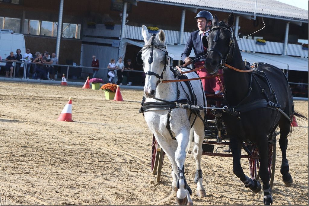 Erste Reitversuche für junge Pferdesportler