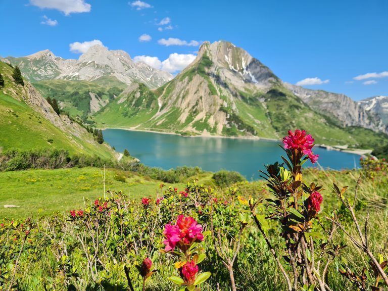 Der Spullersee geht heuer bei 9 Plätze - 9 Schätze für Vorarlberg ins Rennen. <span class="copyright">ALLE BILDER:VN/JUN</span>