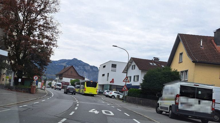 Freiwillig Tempo 30 steht bei der Ampel, am Boden jedoch 40. Zwei Warnschilder verweisen auf die Baustelle wie auch den nahenden Zebrastreifen, links sind zwei Gehverbote für Fußgänger vermerkt. Ein Schilderwald, kritisieren Autofahrer. <span class="copyright">Leserfoto</span>