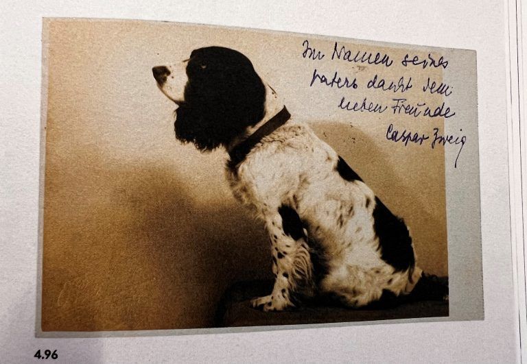 Auch private Fotos des Schriftstellers sind im Buch zu finden.   <span class="copyright">Benevento</span>